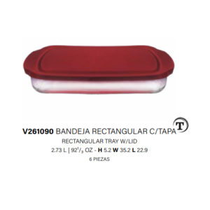 V261090