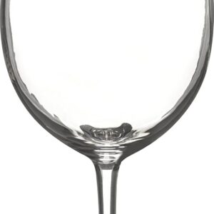 COPA VINO 20 OZ ALIBI 564207 SAN PLASTIC 22.8 X 6.98 CM (PRECIO POR 24 PIEZAS)