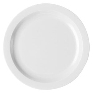 PLATO TRINCHE 10 PG COLOR BLANCO 10CWNR148 NARROW RIM CAMBRO (PRECIO POR 48 PIEZAS)